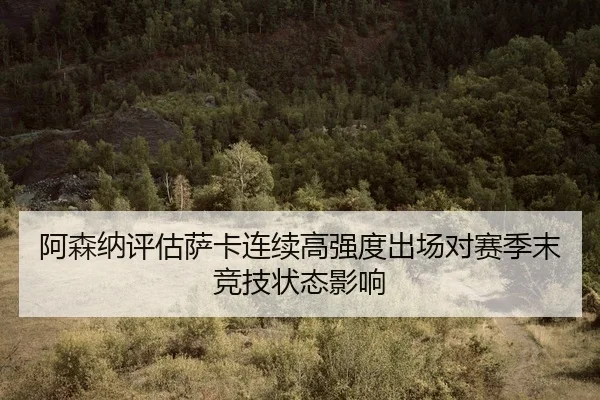a-sen-na-ping-gu-sa-ka-lian-xu-gao-qiang-du-chu-chang-dui-sai-ji-mo-jing-ji-zhuang-tai-ying-xiang-2-133.jpg
