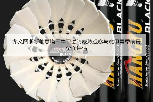 尤文图斯新帅莫塔三中卫试验成效观察与意甲赛季前景全面评估